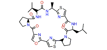 Sanguinamide B